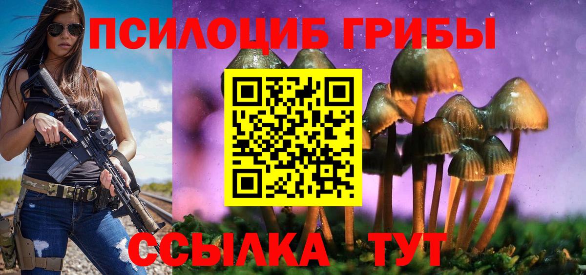 Королёв  Псилоцибиновые грибы GOLDEN TEACHER  Вход с VPN 